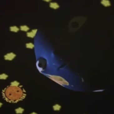 Cupola “Il sogno in una stanza” 2